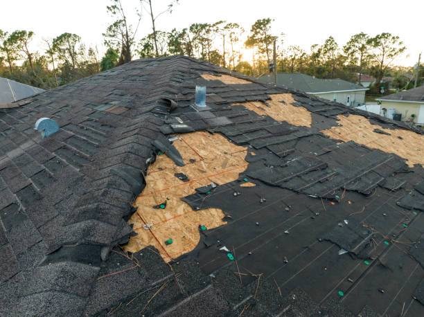 Best Roof Insulation Installation  in Macungie, PA